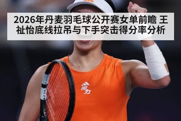2026年丹麦羽毛球公开赛女单前瞻 王祉怡底线拉吊与下手突击得分率分析 - jiuyou game