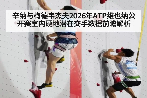 辛纳与梅德韦杰夫2026年ATP维也纳公开赛室内硬地潜在交手数据前瞻解析 - jiuyou game